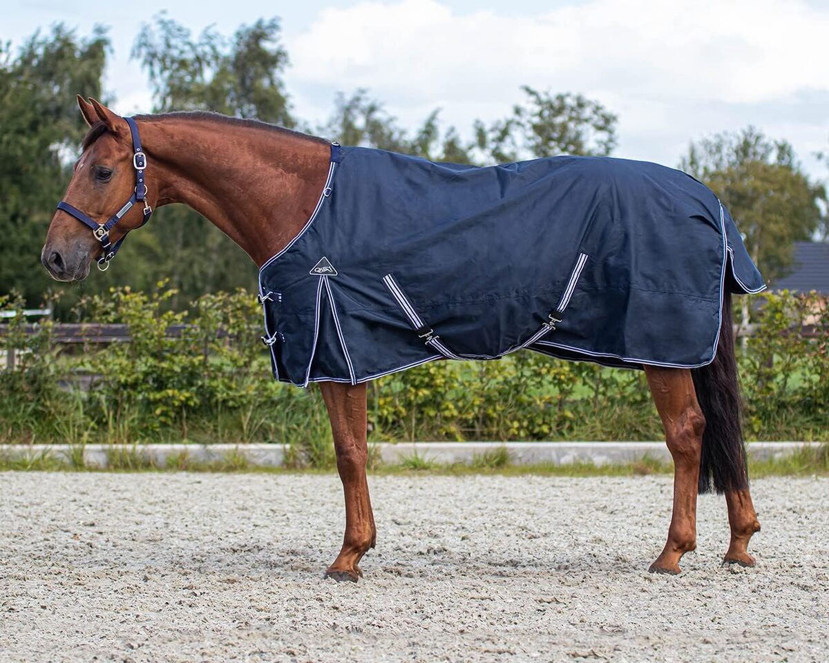 Test de la couverture QHP Luxury 50g pour chevaux