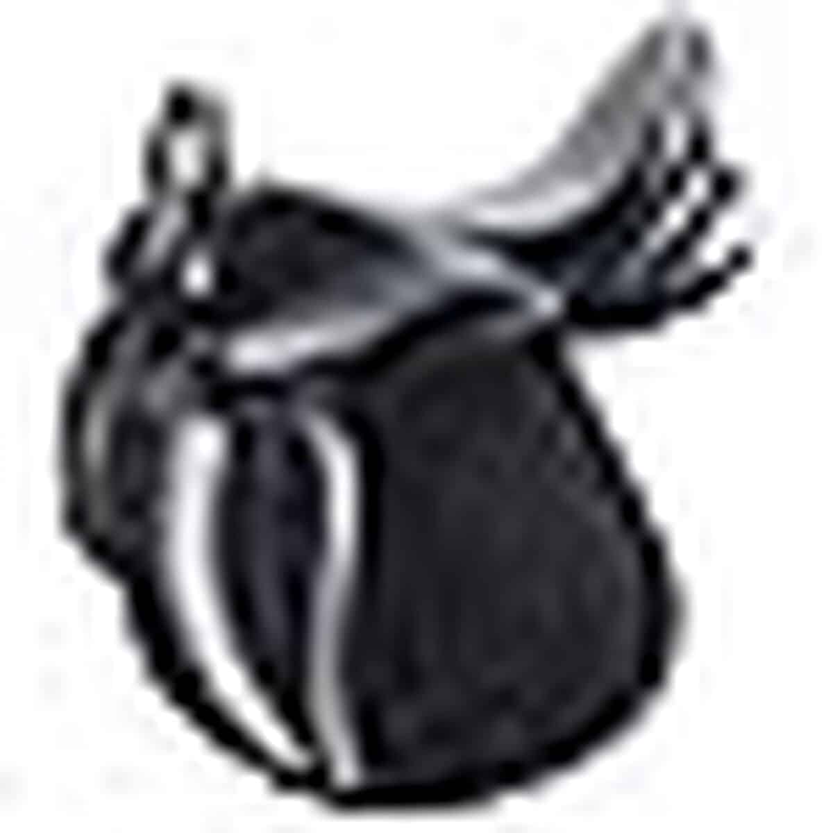 Test : selle Norton Educative 16" noire