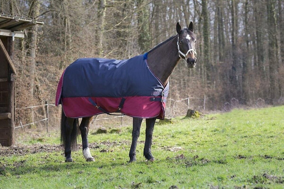 Test : couverture extérieure cheval Equitheme TYREX 1200D