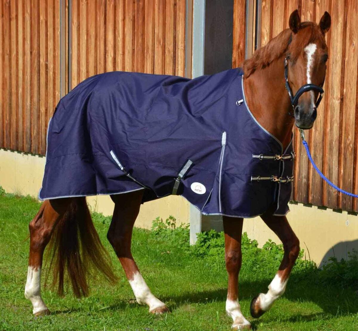 Avis sur la couverture de pluie AMKA pour cheval : imperméable et respirante