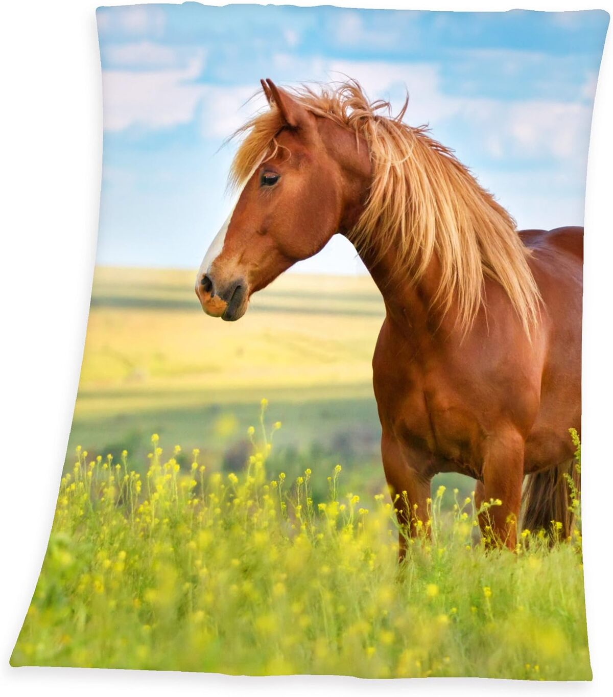 Avis sur la couverture polaire Herding Young Collection cheval