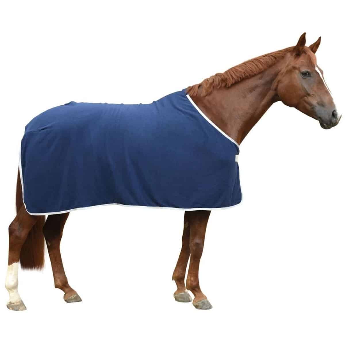Test : couverture Kerbl Rugbe Economic pour cheval