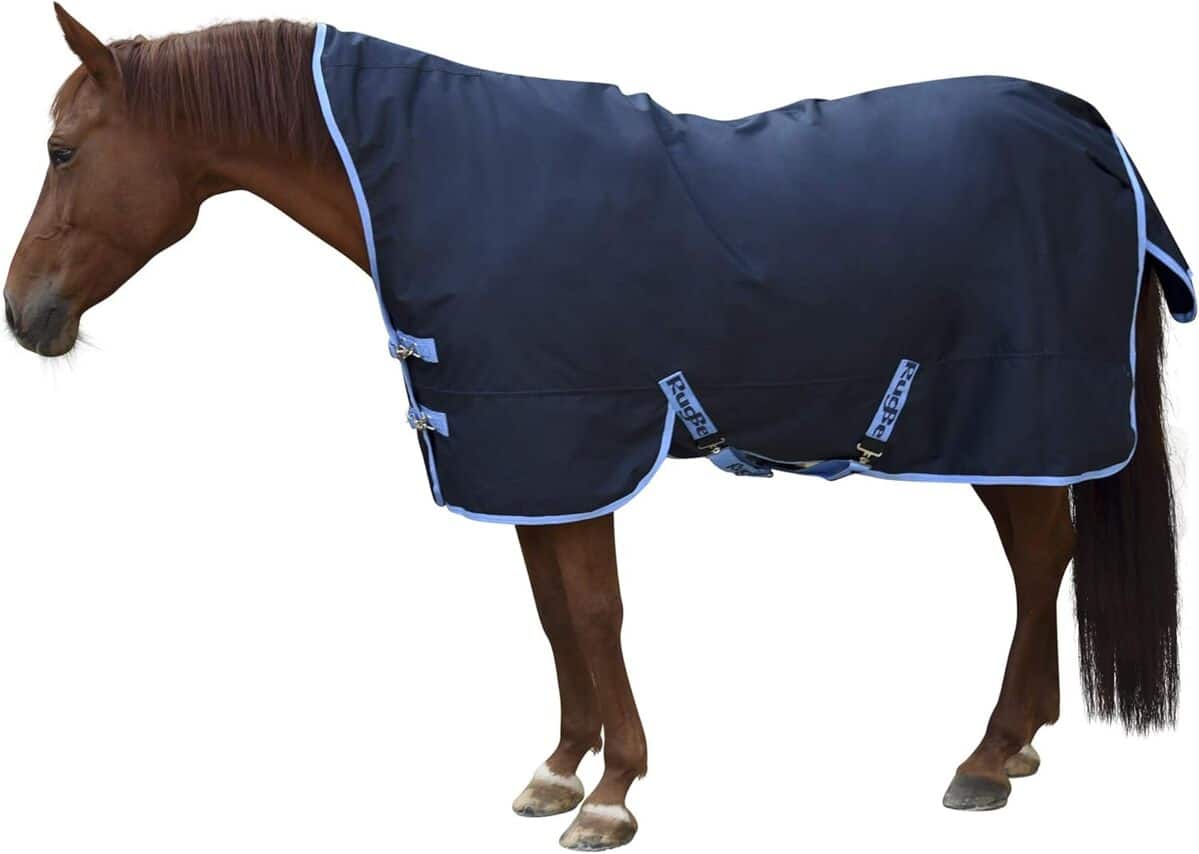 Test de la couverture d'extérieur Covalliero Rugbe Protect 165 cm