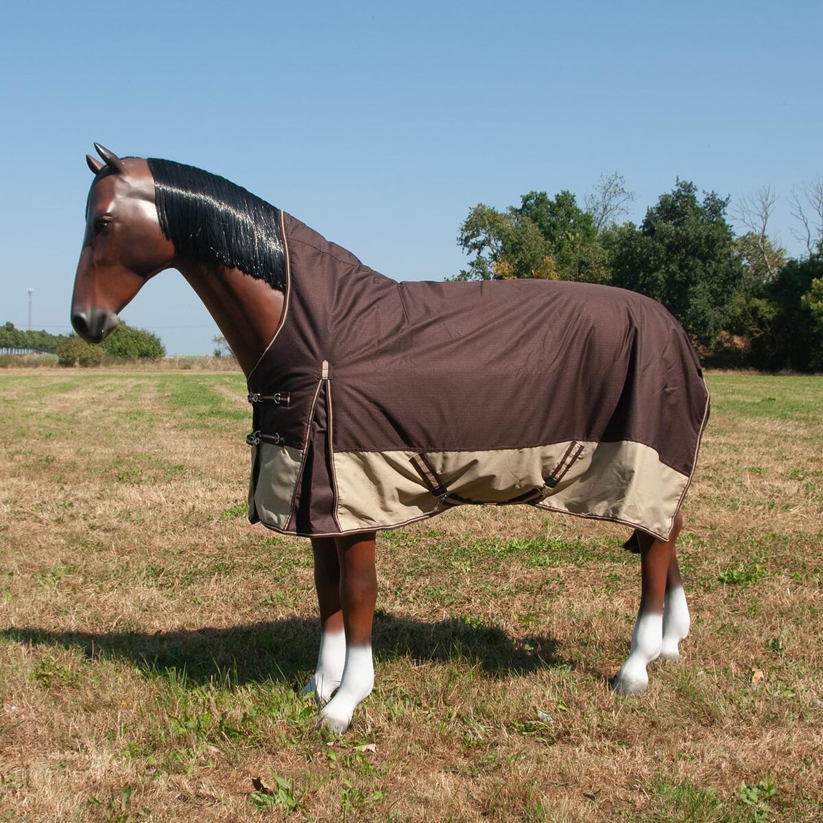 Test : couverture d'hiver imperméable Brama-West Big Horse