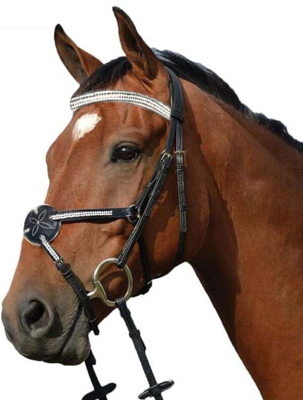 Wonder Care Croisé en Cuir véritable | Bride croisée Anglaise sans Mors avec rênes