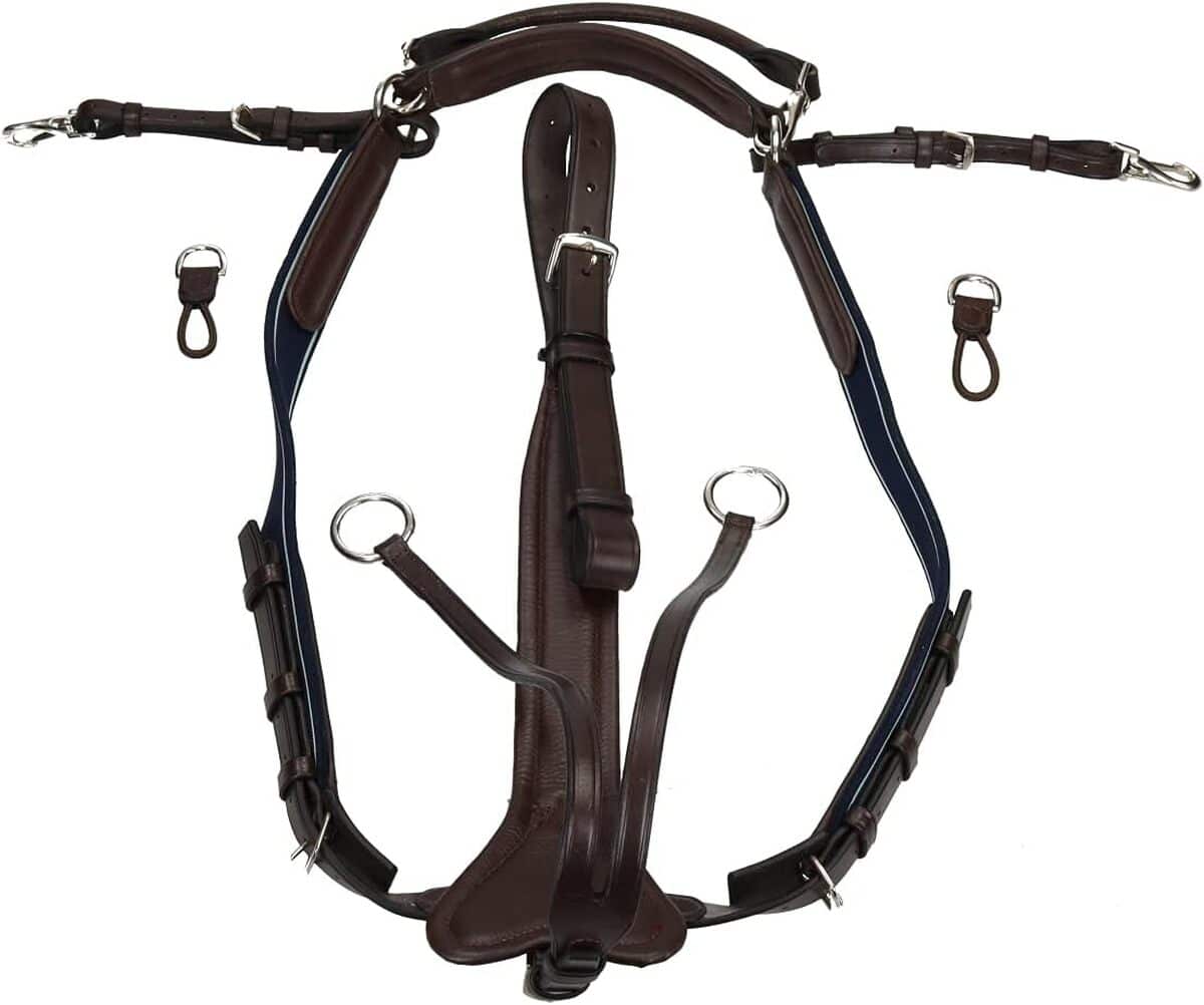 Test du bridon Horseware Rambo Micklem pour équitation