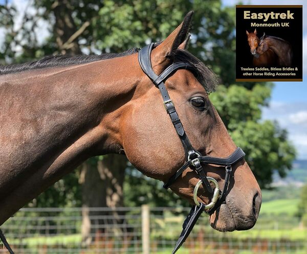 Bridon anatomique en cuir de qualité avec rênes, noir ou marron, taille L