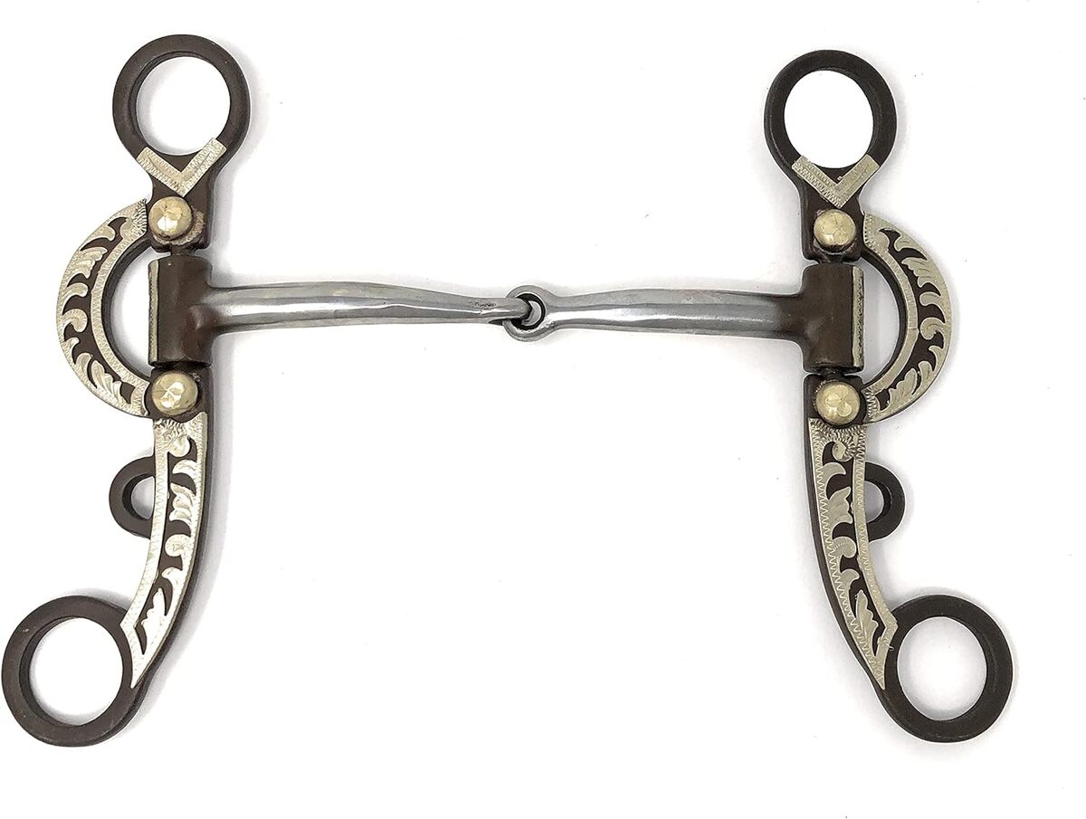 Essai : bridon show argentin avec embouchure douce en fer et cuivre antique marron