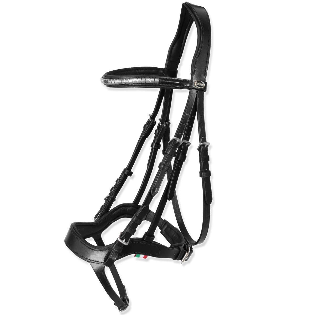 Test du bridon Horses Tasting Pro pour chevaux sensibles