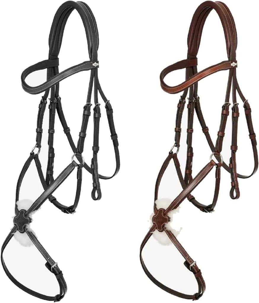 Test du bridon LeMieux Arika Grackle : élégance et performance