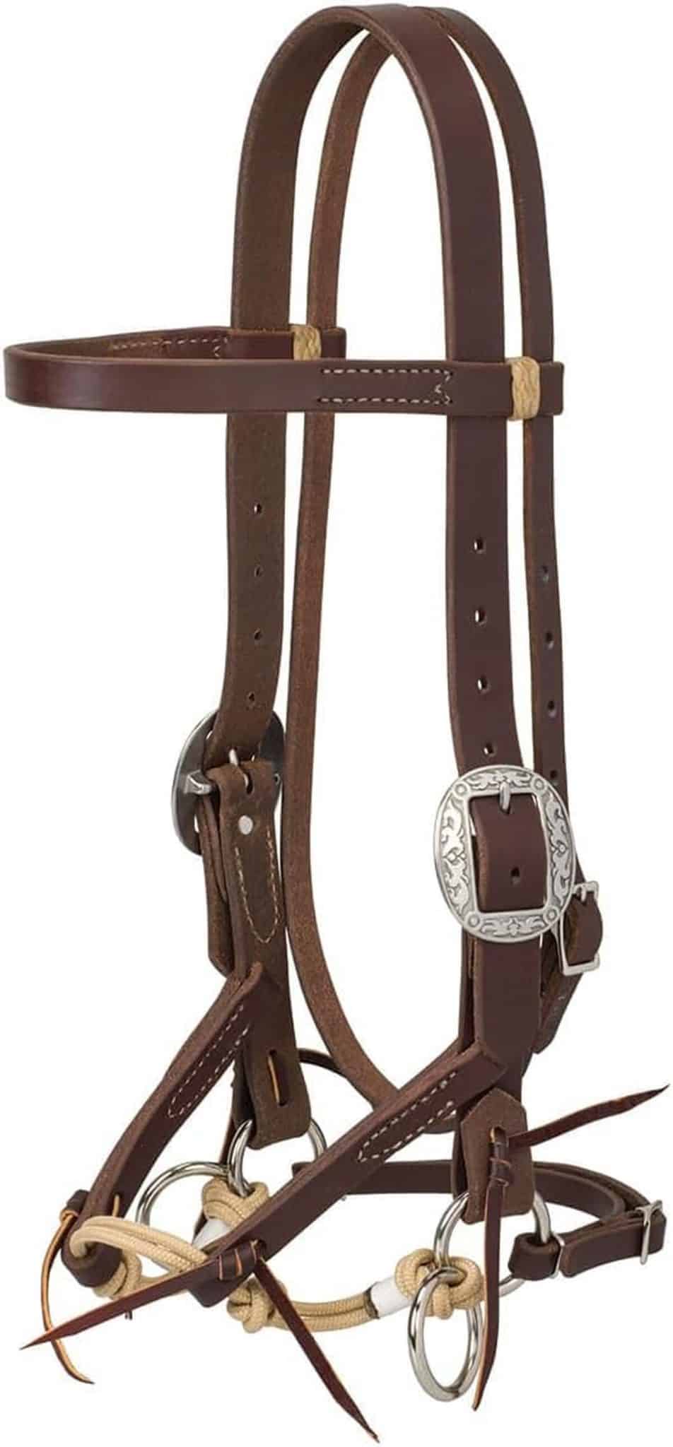 Test du bridon sans mors Weaver Leather Justin Dunn Rose Canyon