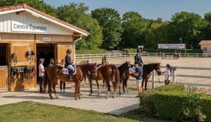 Fédération Française d'Équitation : rôle et missions