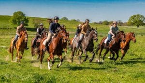 Galops de pleine nature : découvrez les niveaux d'équitation en extérieur